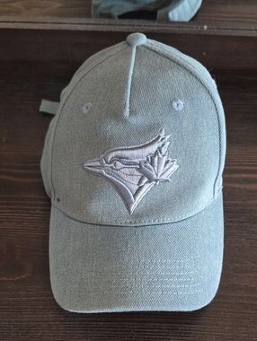 Embroidered Grey Baseball Cap with Team Logo